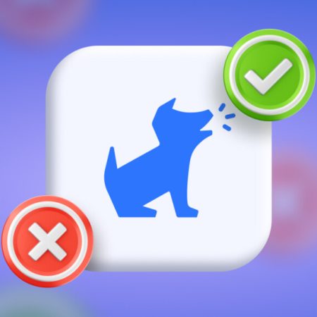 bark app recensione